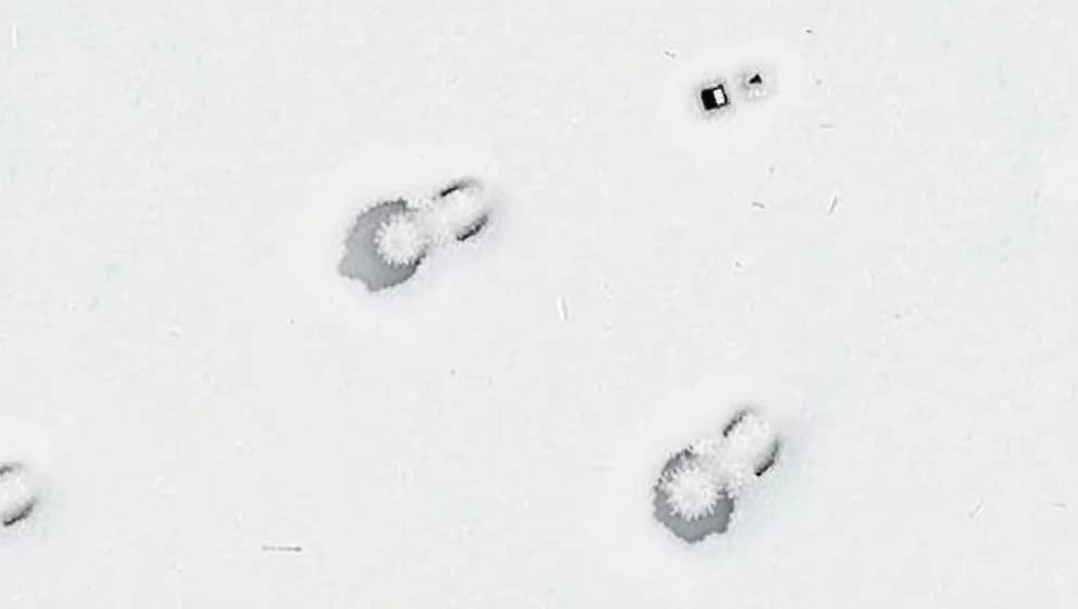 Råttan råttspår i snön förklarad